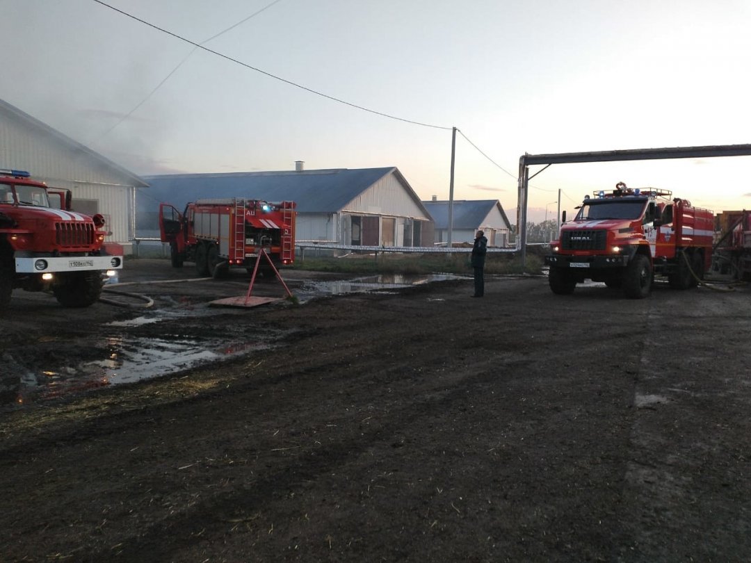 Спасатели МЧС России ликвидировали пожар в нежилых зданиях в Промышленновском МО